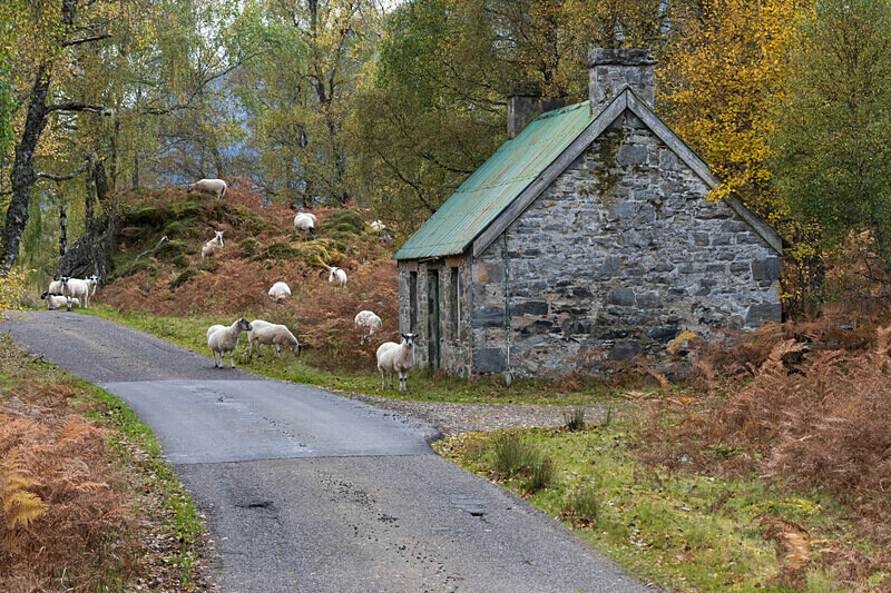 Glen Affric-8 - Glen Affric