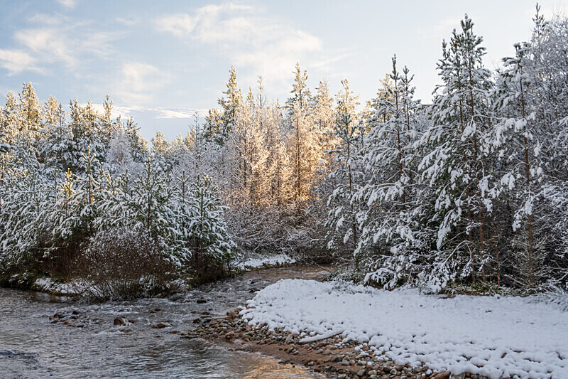 aviemore-8 - Aviemore Area