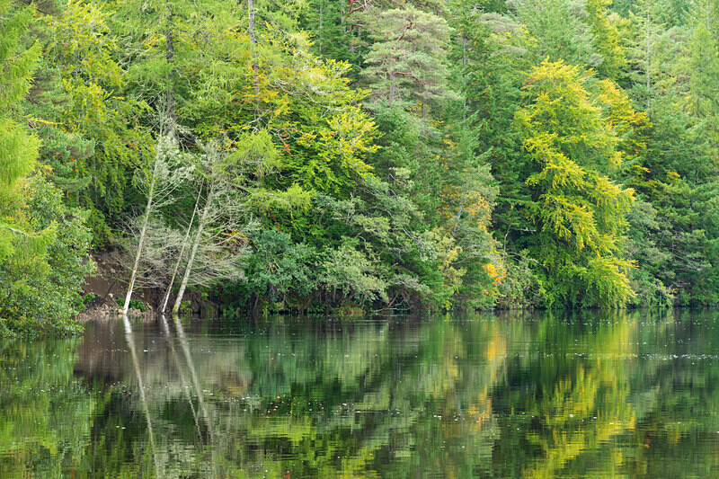 Pitlochry-24 - Pitlochry