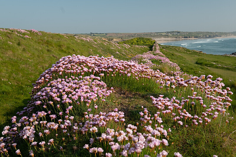 Cornwall-18 - Cornwall