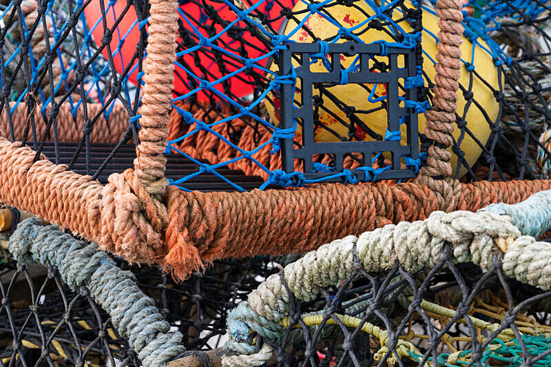 yorkshire-19 - Yorkshire