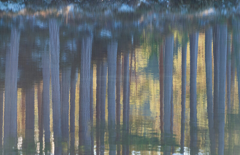 Aviemore-40 - Aviemore Area