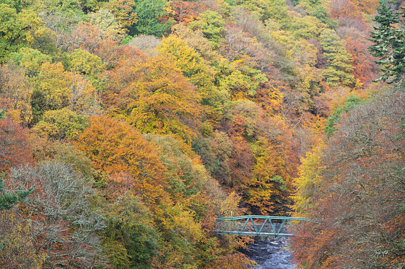 Pitlochry-9 - Pitlochry