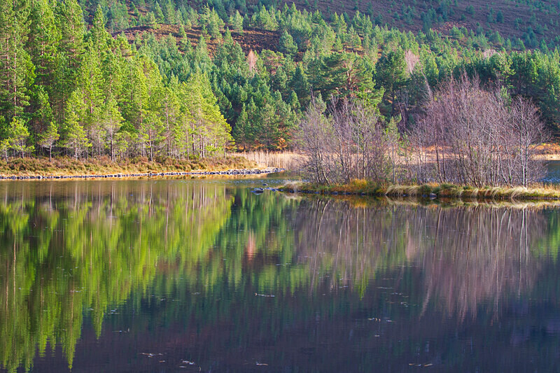 aviemore-30 - Aviemore Area