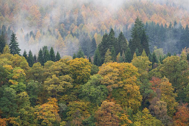 Pitlochry-8 - Pitlochry