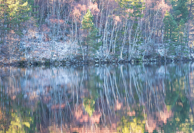 Aviemore-39 - Aviemore Area