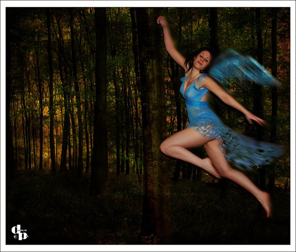 Bluebell Faerie - Studio - Lauren