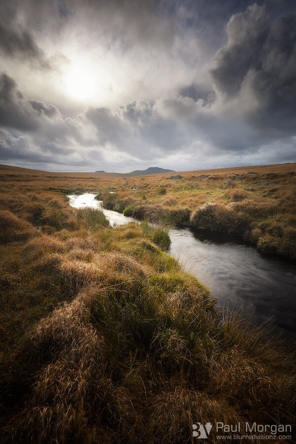 Brooding - Landscape (Vertical)