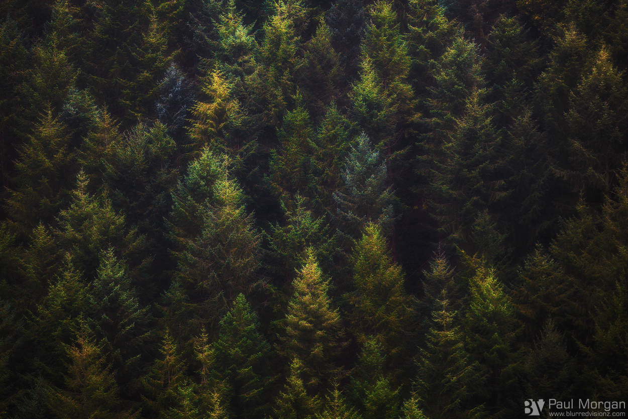 Wooden Palette - Landscape (Horizontal)