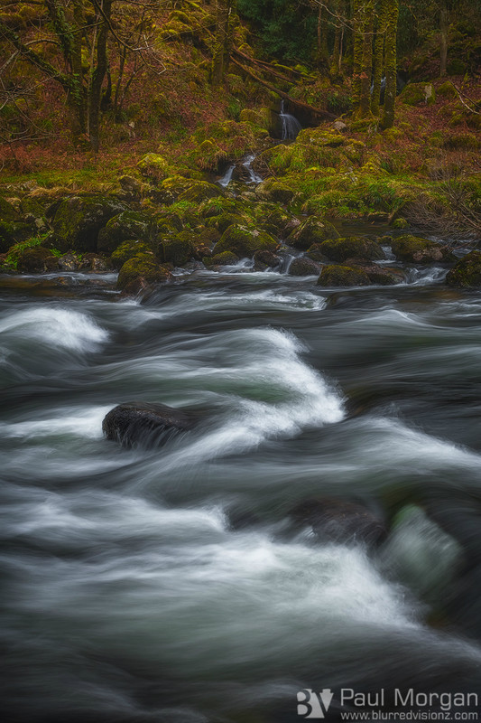 Flow Motion - Landscape (Vertical)