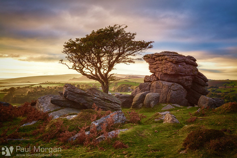 Dartmoor Delight - Landscape (Horizontal)