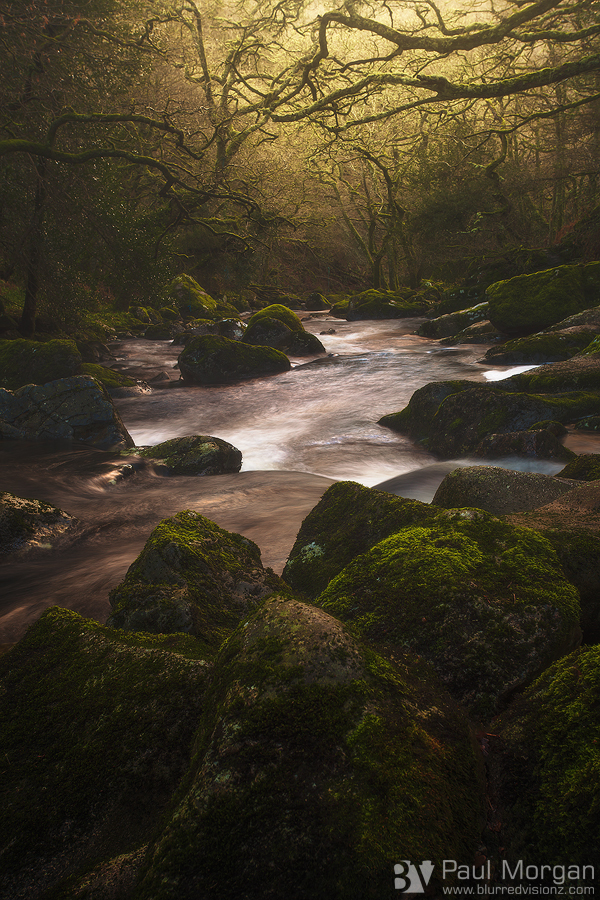 Filtered - Landscape (Vertical)