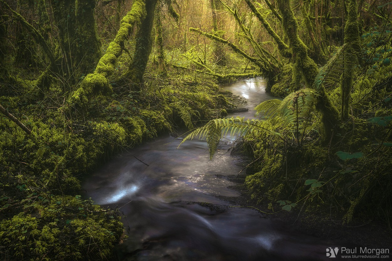 Searching For Gold - Landscape (Horizontal)