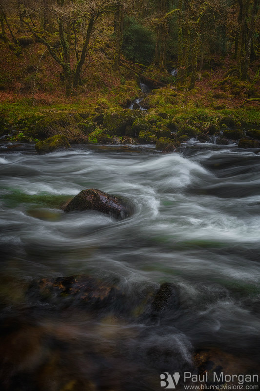 River Dance - Landscape (Vertical)