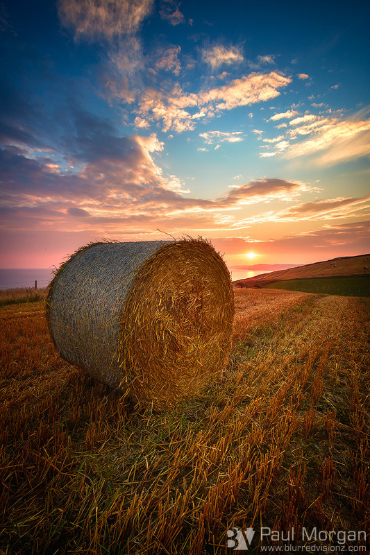 Late Breakfast - Landscape (Vertical)