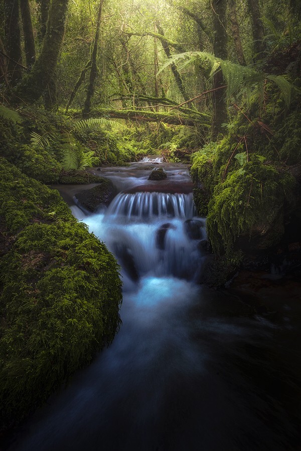 Running Through The Green - Landscape (Vertical)