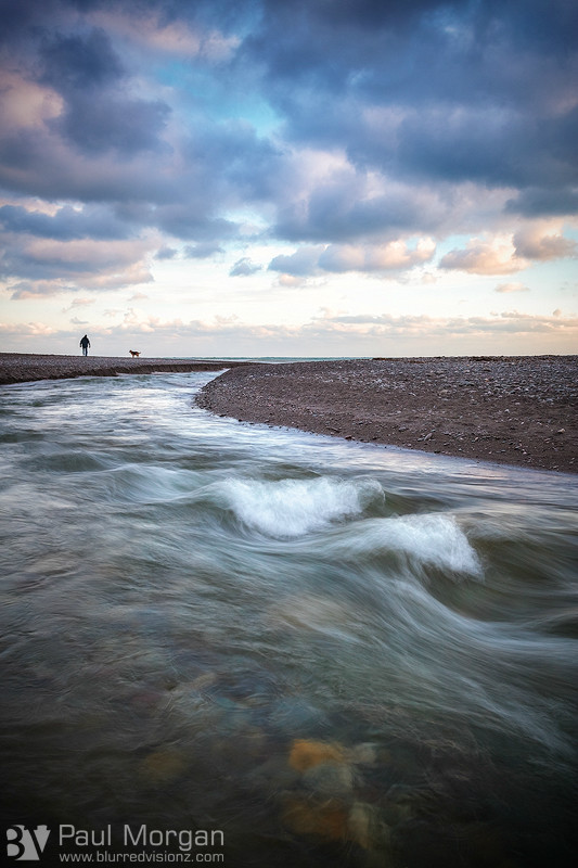 Just Walking The Dog II - Landscape (Vertical)