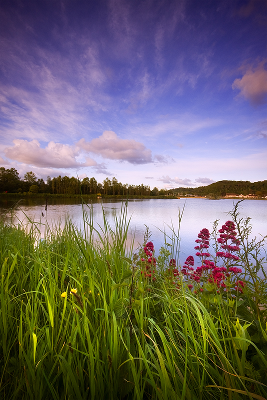 Millbrook Lake-Cornwall-Millbrook-Paul Morgan-Landscape Photography