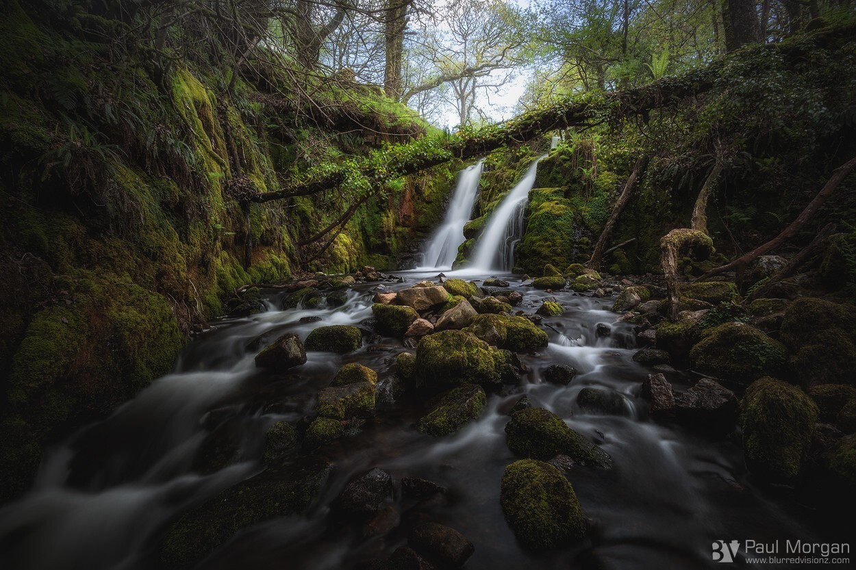 Twin Falls - Landscape (Horizontal)
