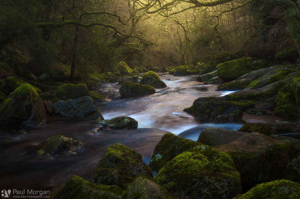 Golden Flow - Landscape (Horizontal)