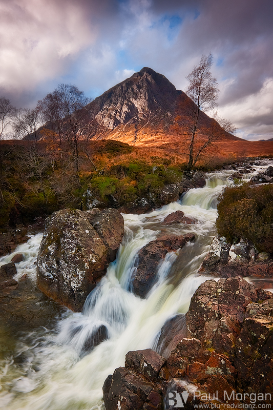 Glencoe Gold II