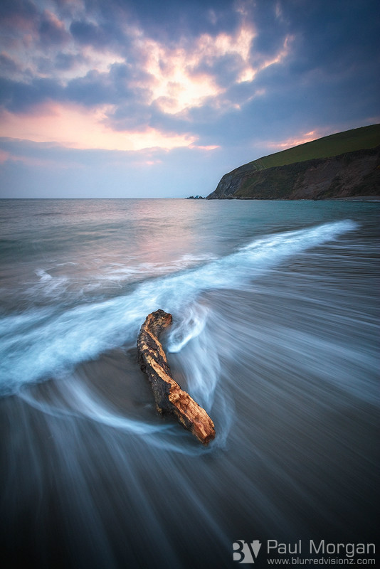 Beach Wood - Landscape (Vertical)