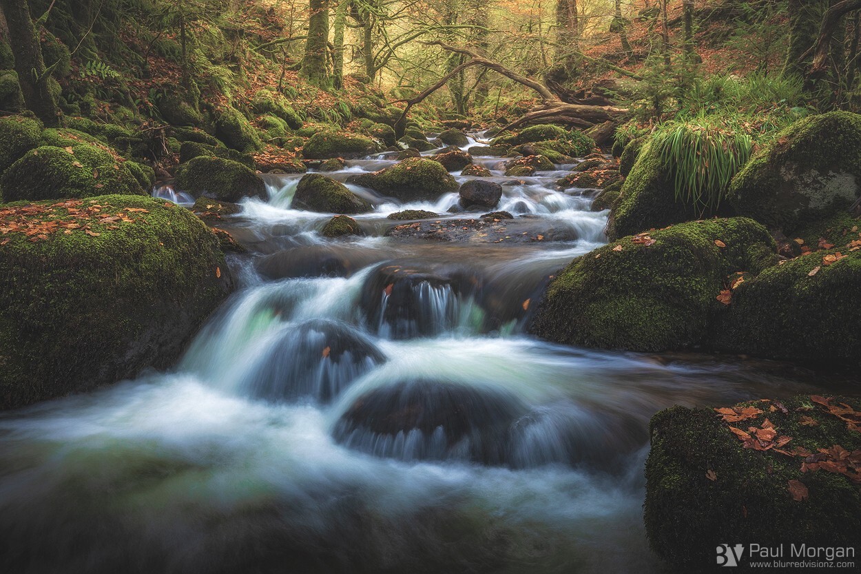 Cascading Colour - Landscape (Horizontal)