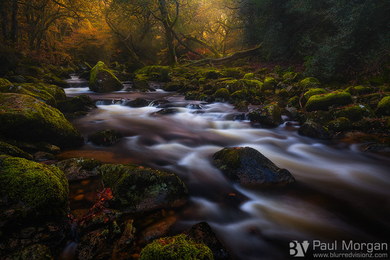 The Flow Of Autumn - Landscape (Horizontal)