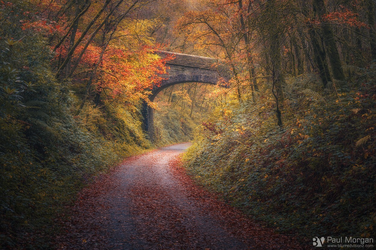 Drake's Trail - Landscape (Horizontal)