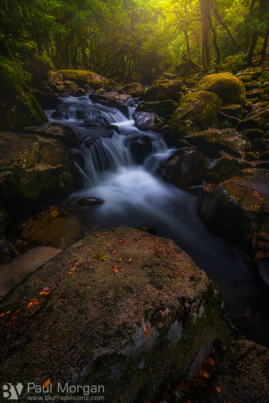 Cutting Through - Landscape (Vertical)