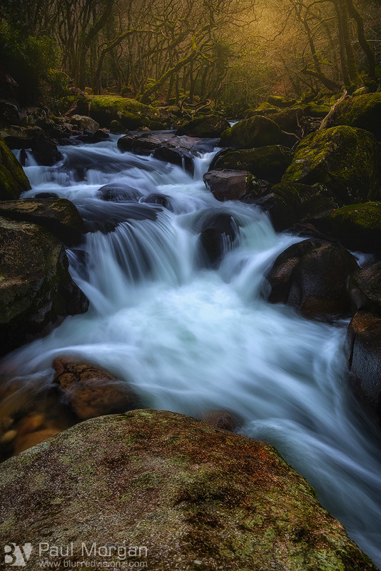 Shaughly Rivers Flow - Landscape (Vertical)