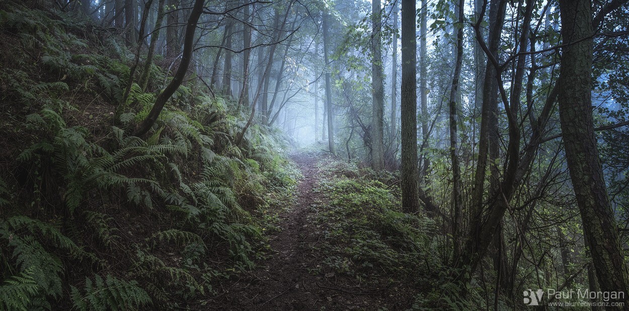 Path Of Mystery - Panorama