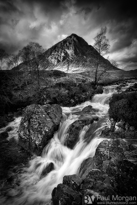 Glencoe Gold II Mono - Other Places