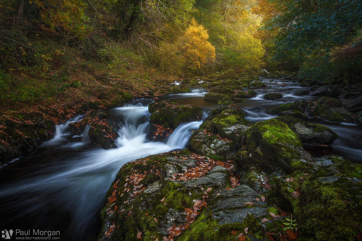 Flow & Glow - Landscape (Horizontal)
