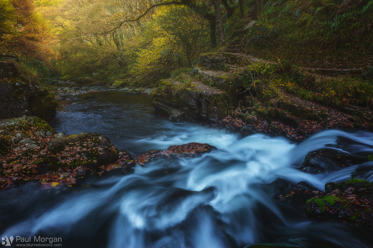 Free Runner - Landscape (Horizontal)
