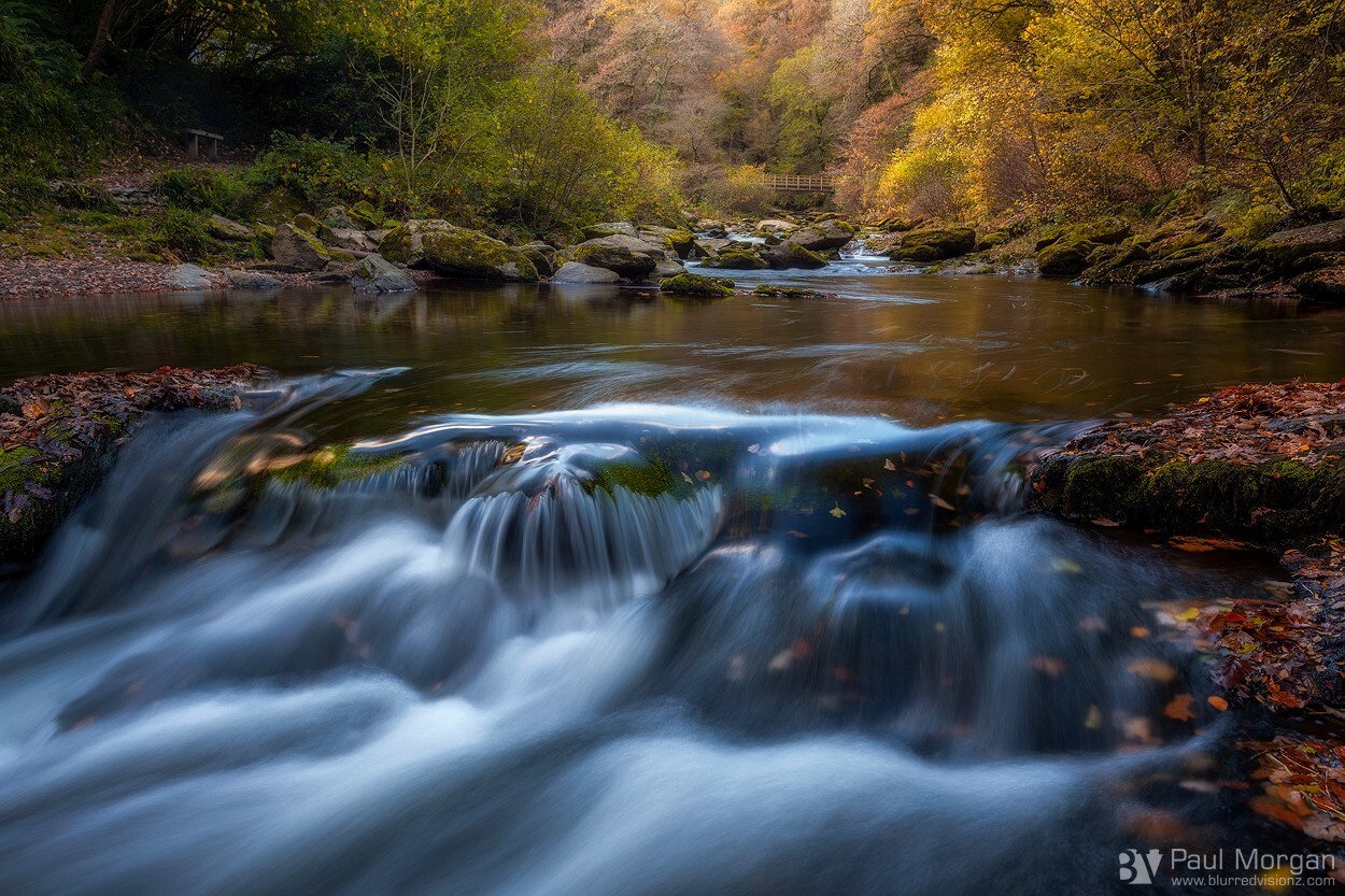 Fall - Landscape (Horizontal)