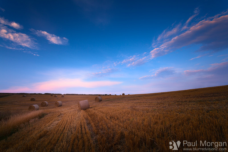 Late Harvest - Landscape (Horizontal)