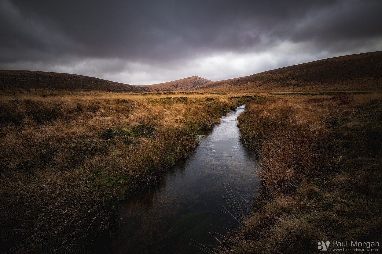 Marshlands - Landscape (Horizontal)