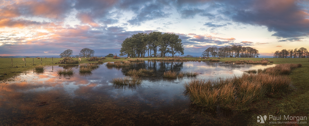 Long Time To Reflect - Panorama