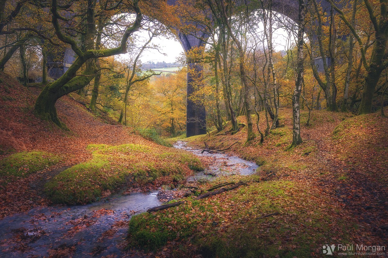 Underneath The Arches - Landscape (Horizontal)