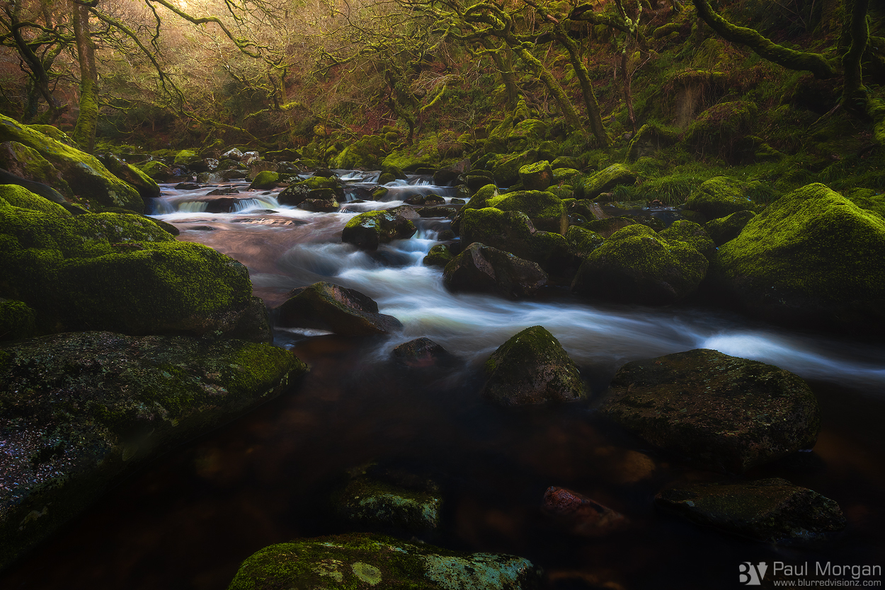 Enchanted - Landscape (Horizontal)