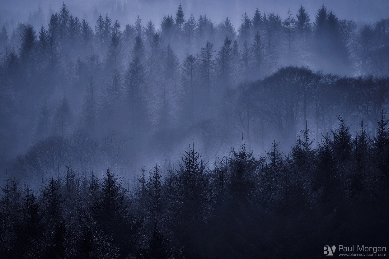 Laminate - Landscape (Horizontal)