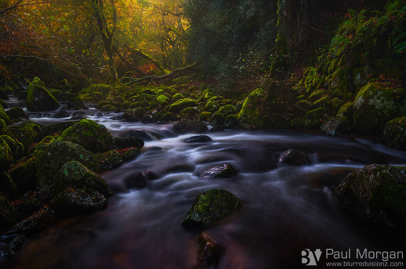 The Flow of Autumn II - Landscape (Horizontal)