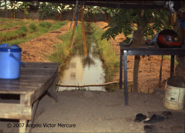 907 - Twilight Imagery