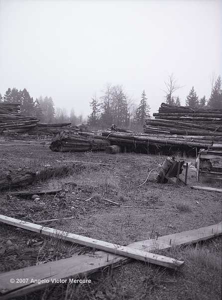 404 - Shingle Mill