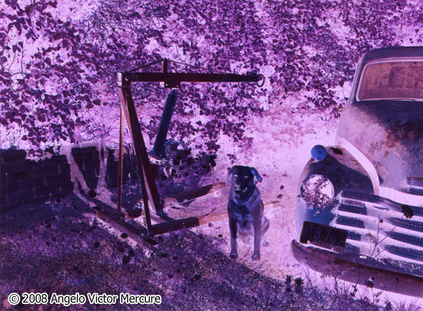 1407 - Infrared