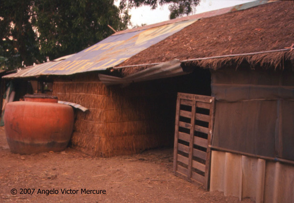 910 - Twilight Imagery