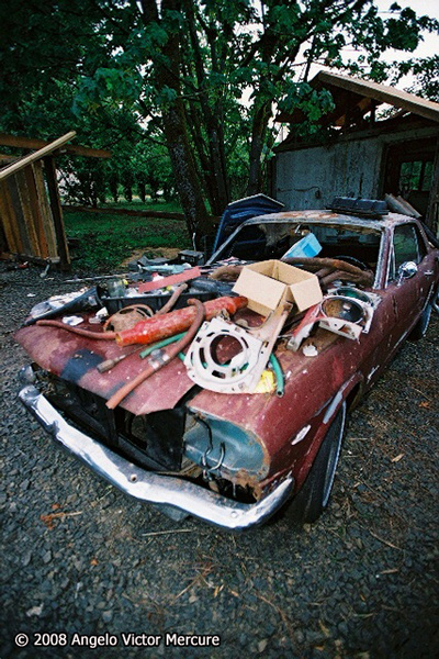 2707 - Old Detroit Iron