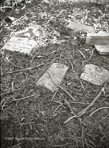 517 - Old Graveyards