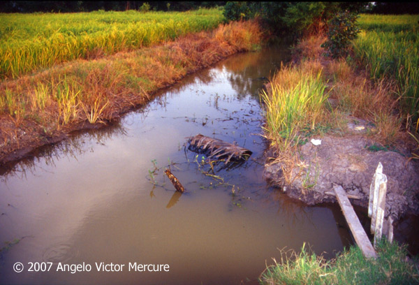 913 - Twilight Imagery